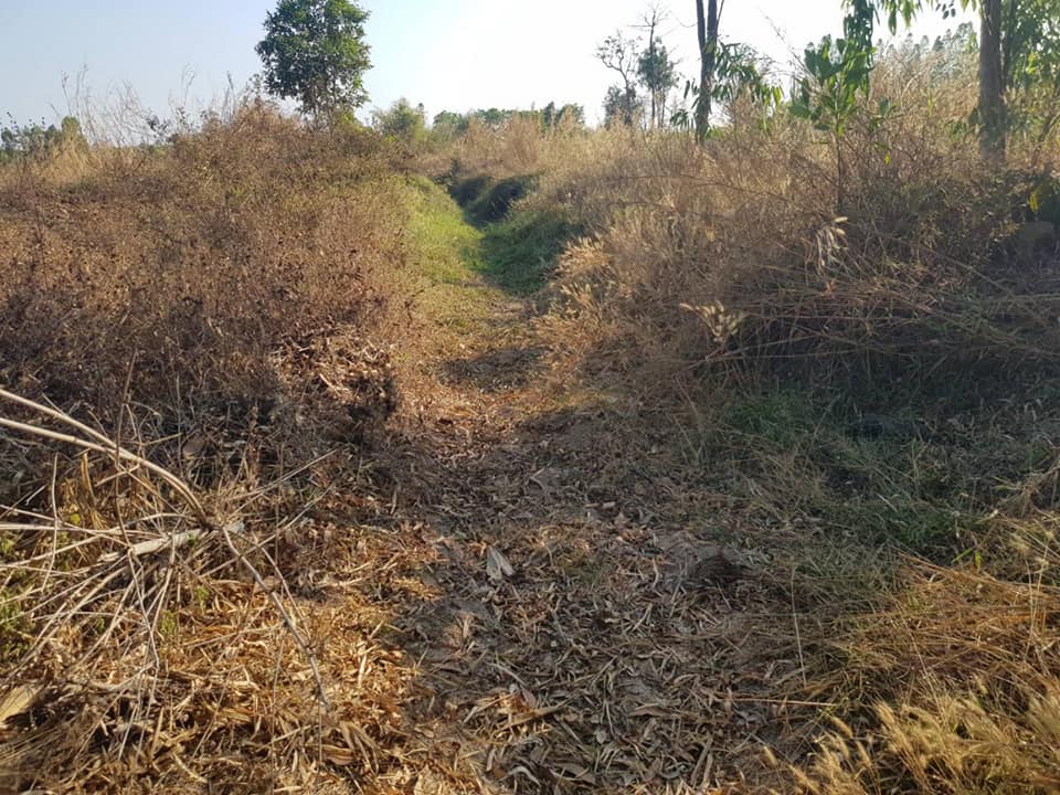 ที่นา  เนื้อที่ 9-3-81 ไร่ บ้านดุง อุดรธานี