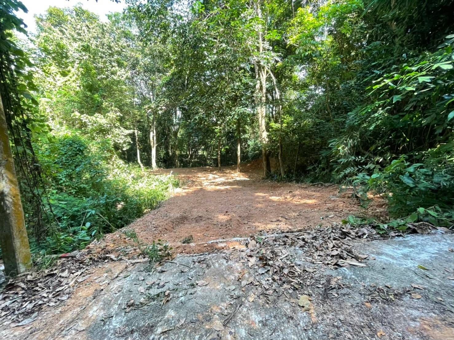 ขายที่ดินสงขลา ที่ดินบนเนินเขา เกาะยอ เมืองสงขลา 0-0-76