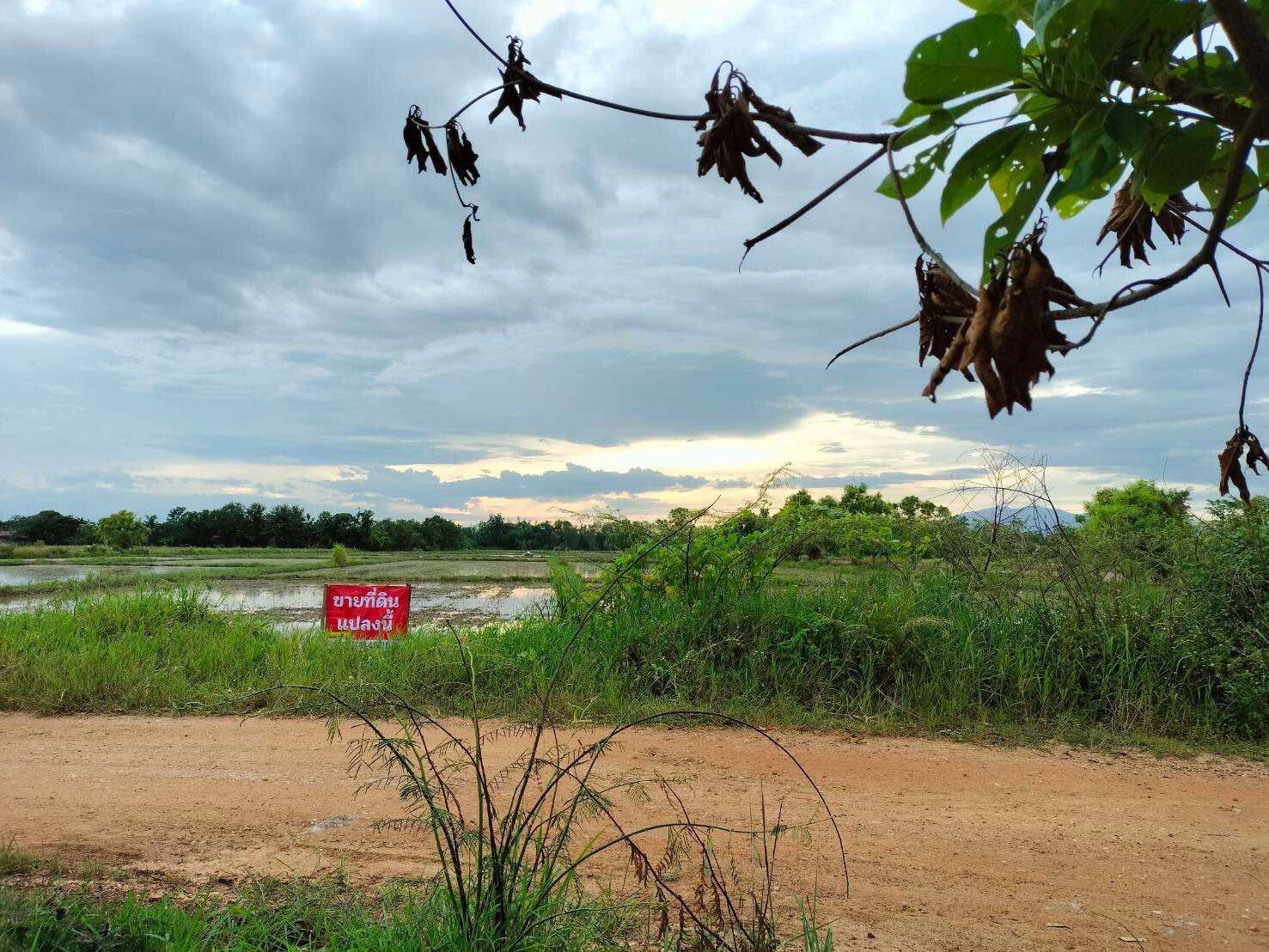 ขายที่ดินลำพูน อำเภอบ้านธิ ที่ดินแปลงสวย บรรยากาศดี ติดถนนสาธารณะ สามารถลงทุนได้หลากหลาย 12-2-54.7 ไร่.