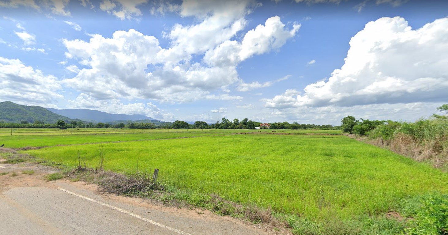 ที่ดินเปล่าขาย 2 โฉนด เพชรบูรณ์ 13-1-43