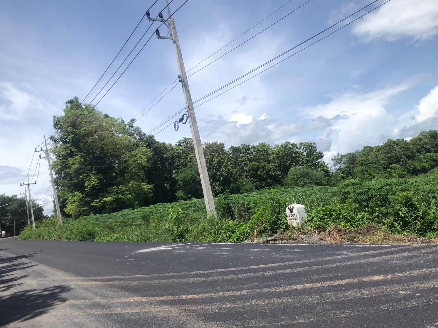 ขายที่ดินน่าน อำเภอเมือง ที่ดินเปล่าติดถนนสาธารณะ เดินทางสะดวกสบาย ใกล้ชุชม