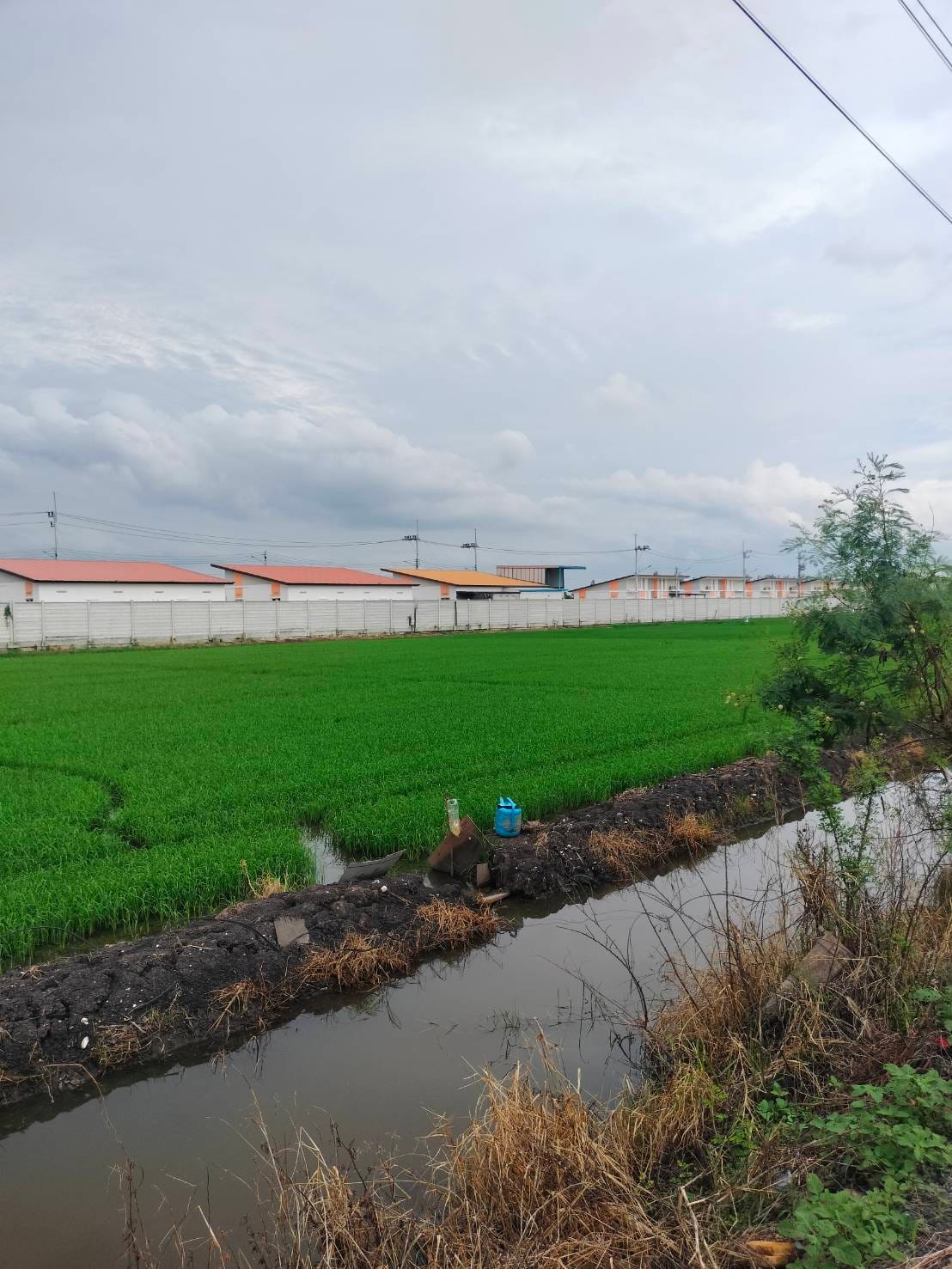 ขายที่ดิน​ ต.คลองหก​ อ.คลองหลวง​ จ.ปทุมธานี
