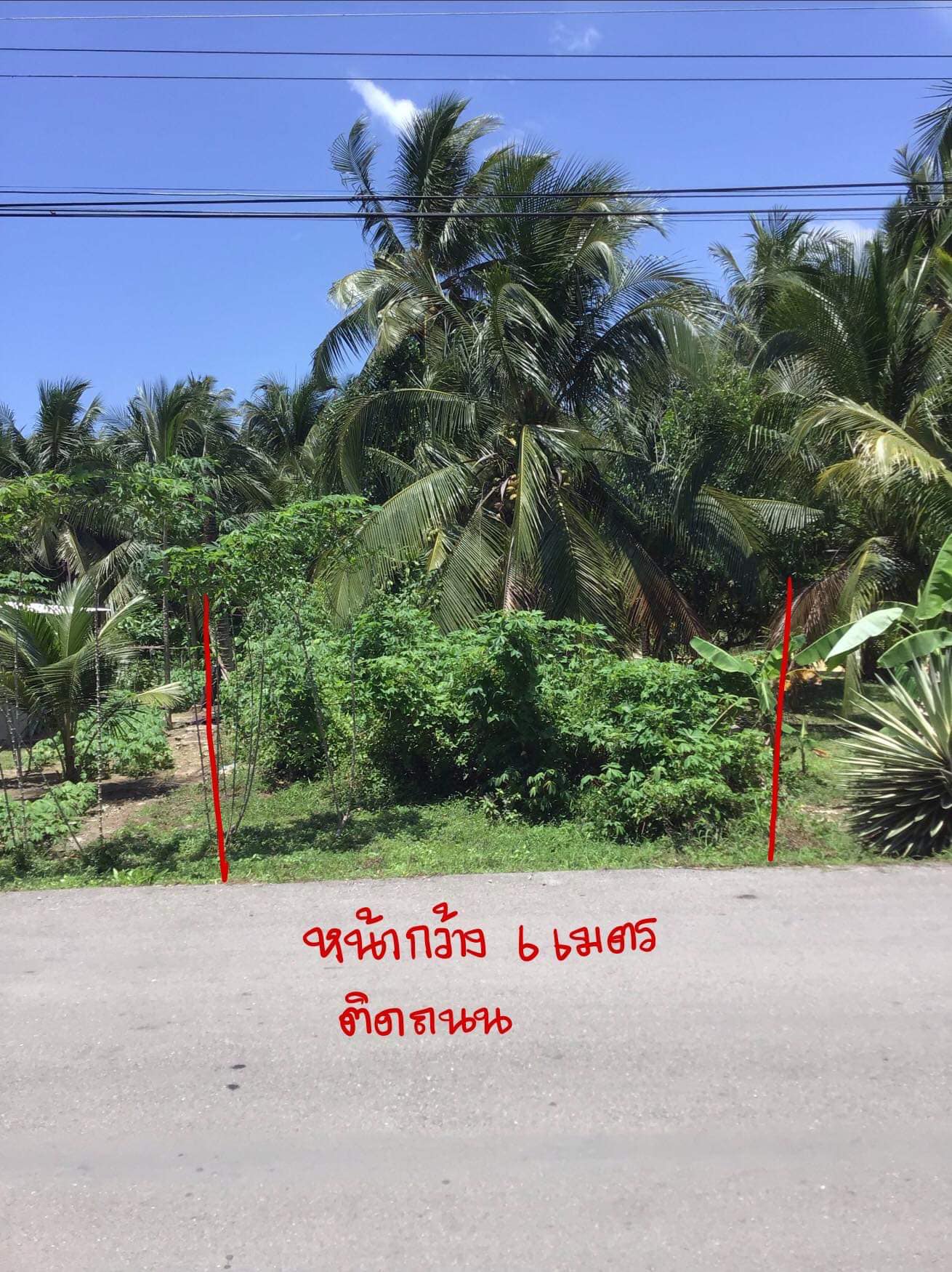 ที่นาเตย ท้ายเหมือง ติดถนน ทำเลดี พังงา 52 ตรว.