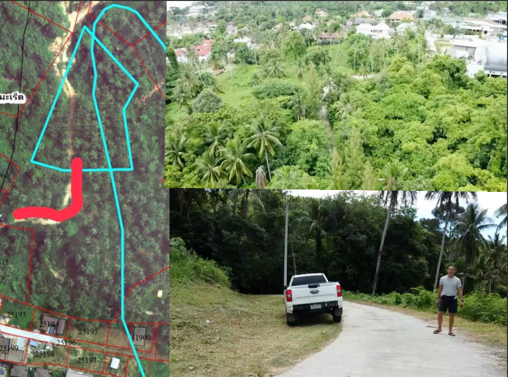 ขายที่ดินสุราษฎร์ธานี อำเภอเกาะสมุย ที่ดิน น.ส.3 บรรยากาศดี วิวสวย น่าลงทุน 