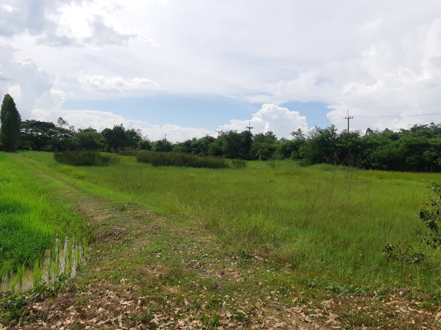 ขายที่ดิน ที่เปล่า เมืองขอนแก่น 4-0-99