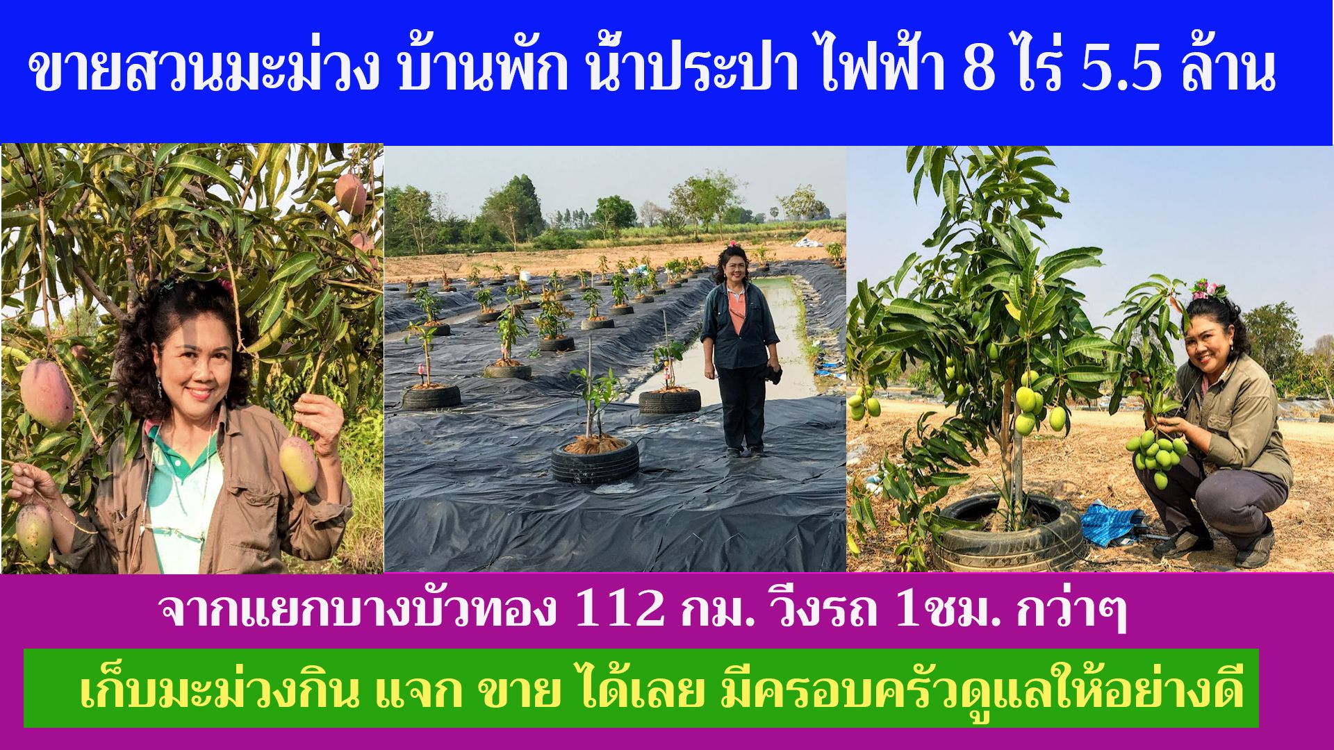 ขายที่ดินสุพรรณบุรี แปลงสวย บรรยากาศดี ใกล้ วิศรุต ฟาร์ม แพะ-แกะ อู่ทอง สุพรรณฯ 8-0-0 ไร่.