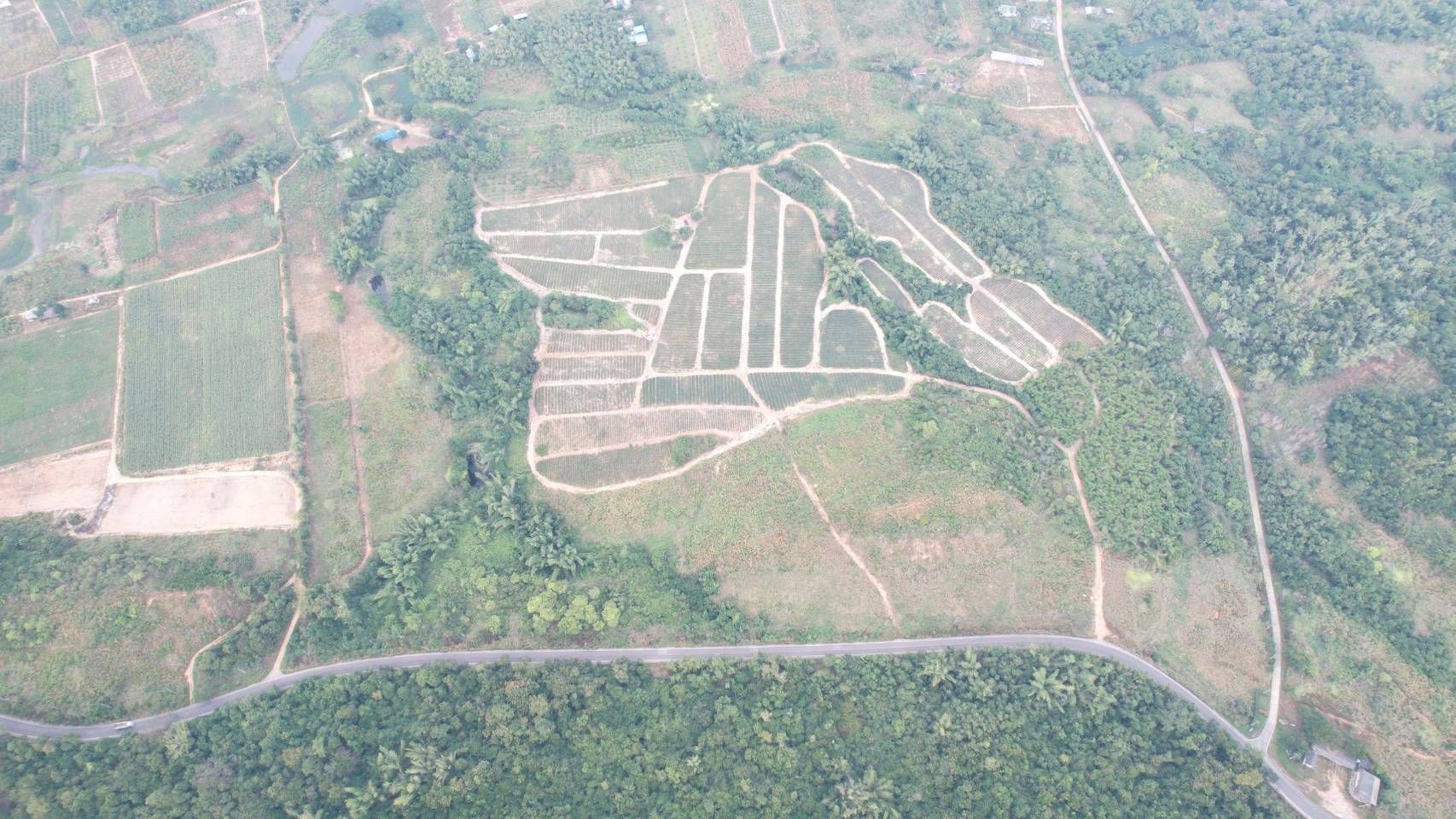ขายที่ดินเพชรบุรี ที่น.ส.3 บรรยากาศดี ทำเลดี เหมาะลงทุน ที่แปลงใหญ่ 84 ไร่.