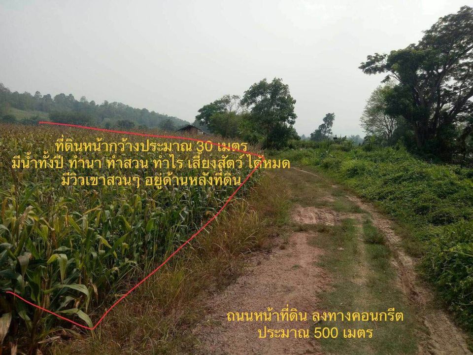 ขายที่ดิน อ.วังเหนือ จ.ลำปาง