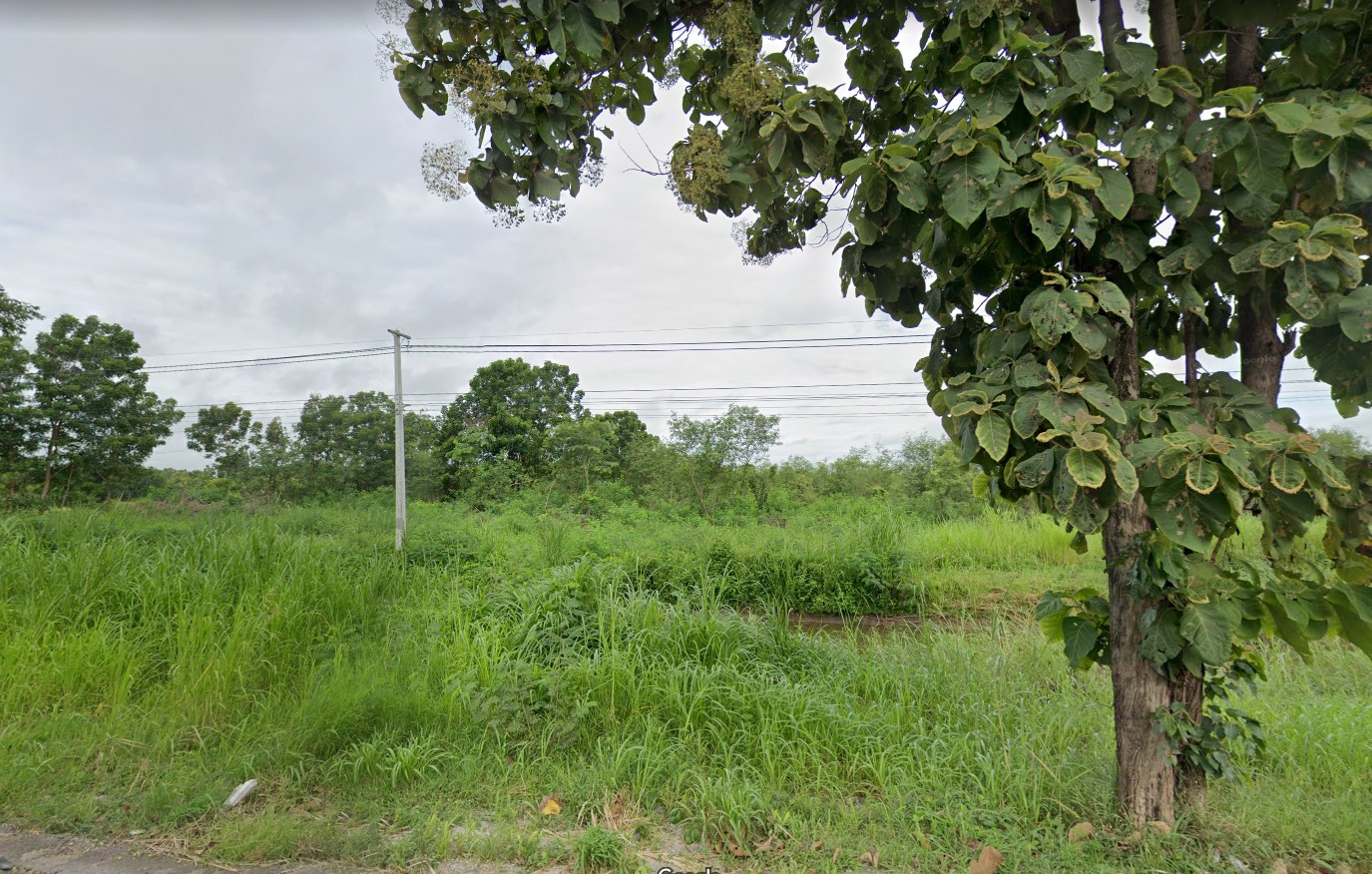 ขายที่ดินพิจิตร นางรอง 18-2-20