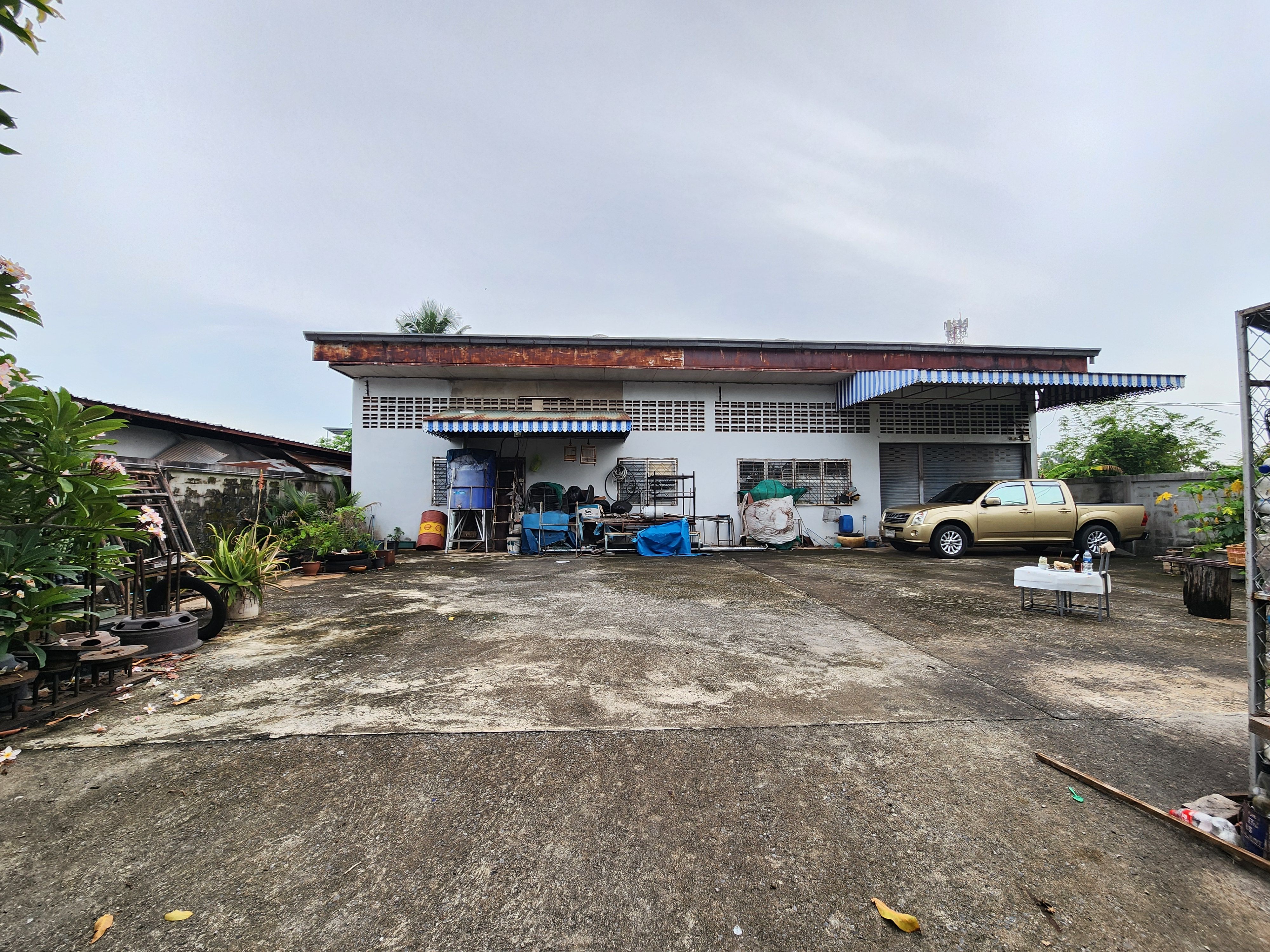 ที่ดิน พร้อมสิ่งปลูกสร้าง น้ำไฟพร้อม กลางเมืองสุราษฎร์ธานี