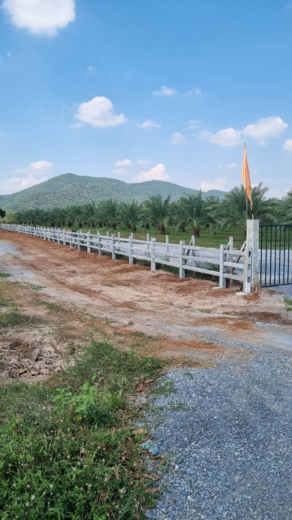 ขายที่ดินกาญจนบุรี โครงการเขาใหญ่ อินทผาลัม