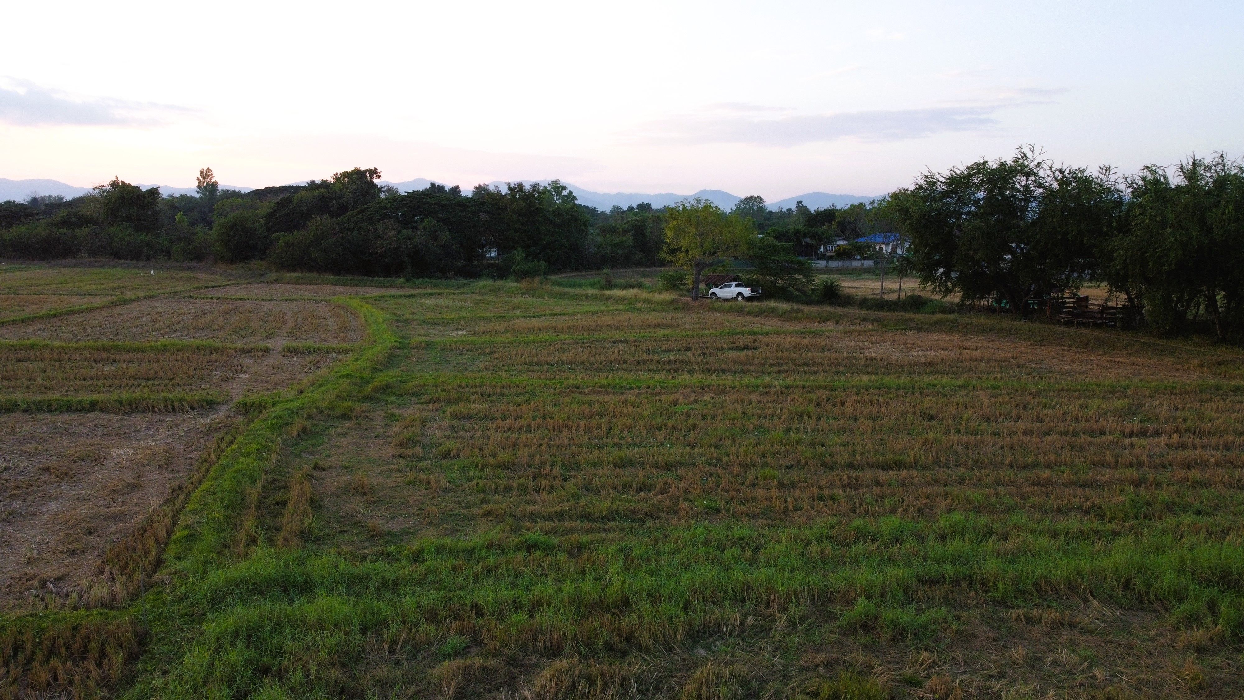 ที่ดิน ทำเลดี ใกล้ชุมชน วิวเข้า ทุ่งนา เหมาะทำบ้านสวน บ้านพักตากอากาศ  อ.เถิน จ.ลำปาง