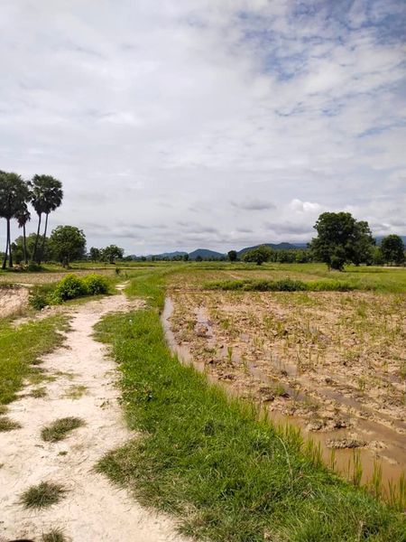 ที่ดินแบ่งขาย 10 ไร่ เมืองสุโขทัย