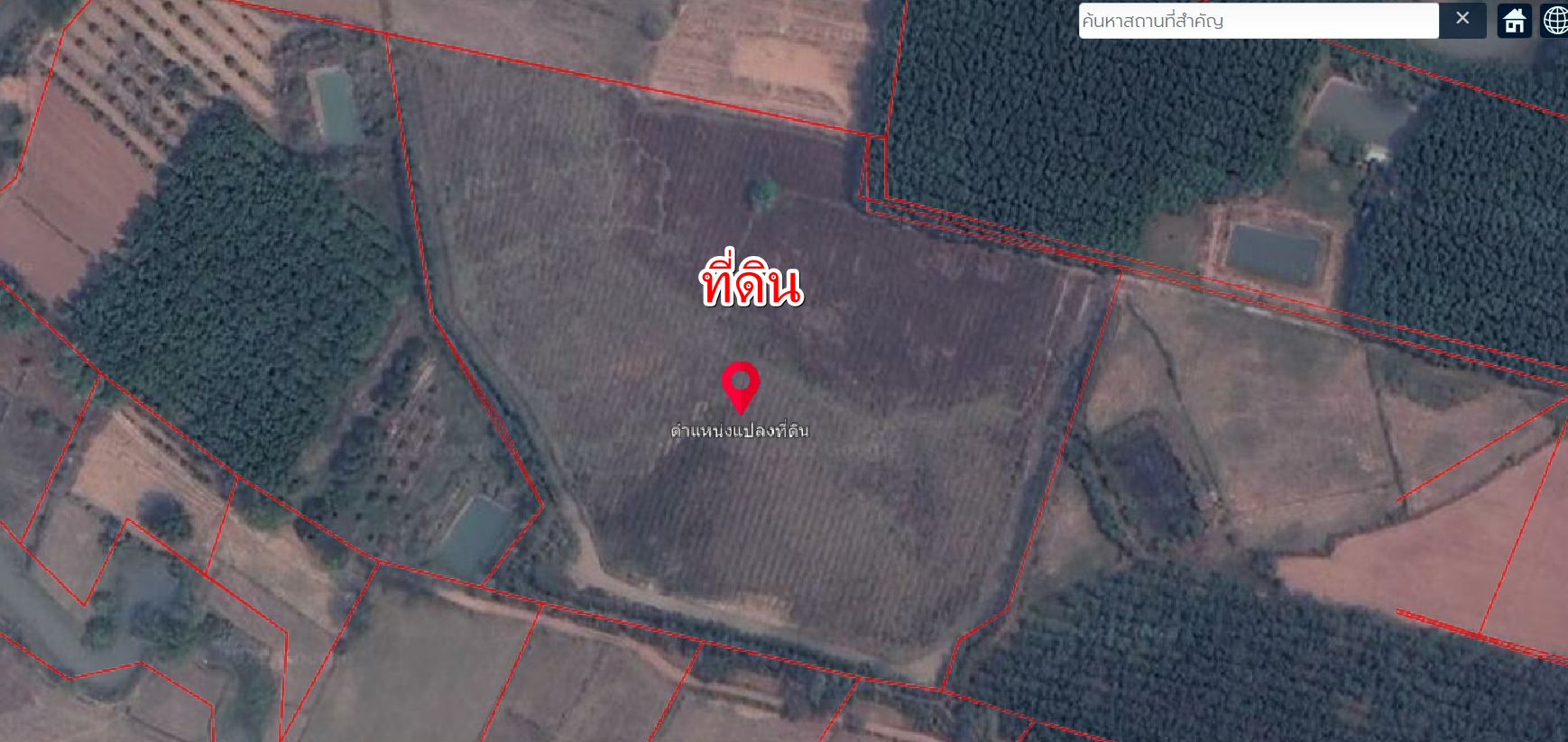 ขายที่ดินทำการเกษตร 24 ไร่