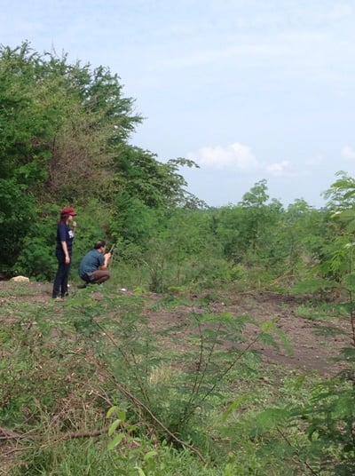 ที่ดิน การเกษตร ลพบุรี 59 ไร่