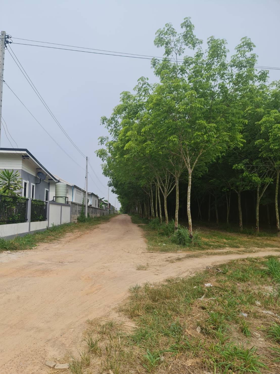 ขายที่ดินในเขตอำเภอนิคมพัฒนา ทำเลดี กำลังเป็นที่นิยมของนักลงทุนทั้งด้านอุตสาหกรรมและหมูบ้านจัดสรร
