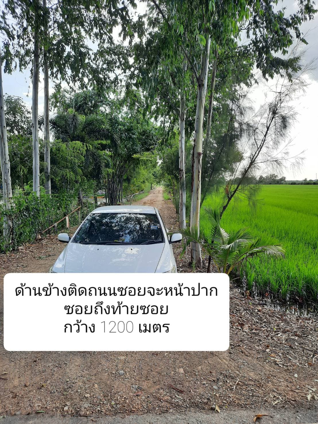 ที่ดินแปลงใหญ่ ปทุมธานี 90-1-58