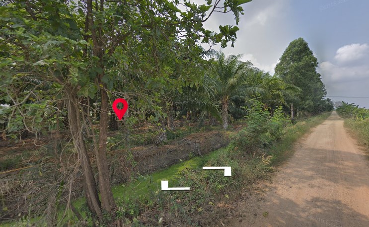 ขายที่ดินปทุมฯ หนองเสือ 3-0-0