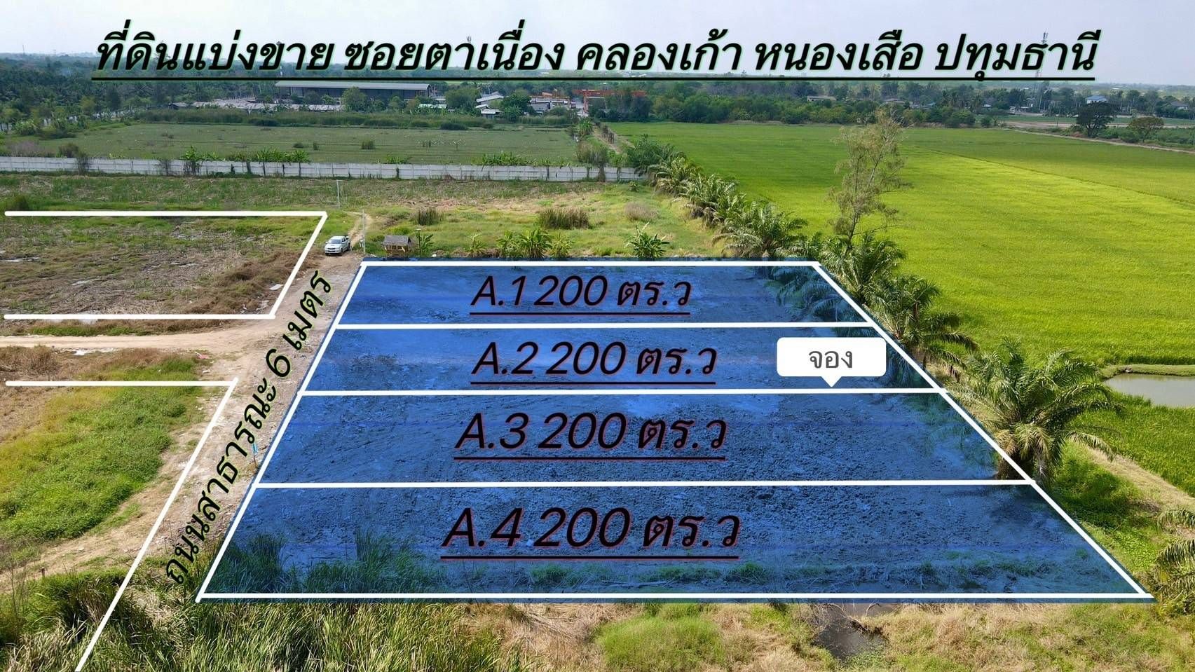 ขายที่ดินปทุมธานี แบ่งแปลงขาย แปลงสวย ทำเลงาม หนองเสือ ปทุมฯ 0-2-0
