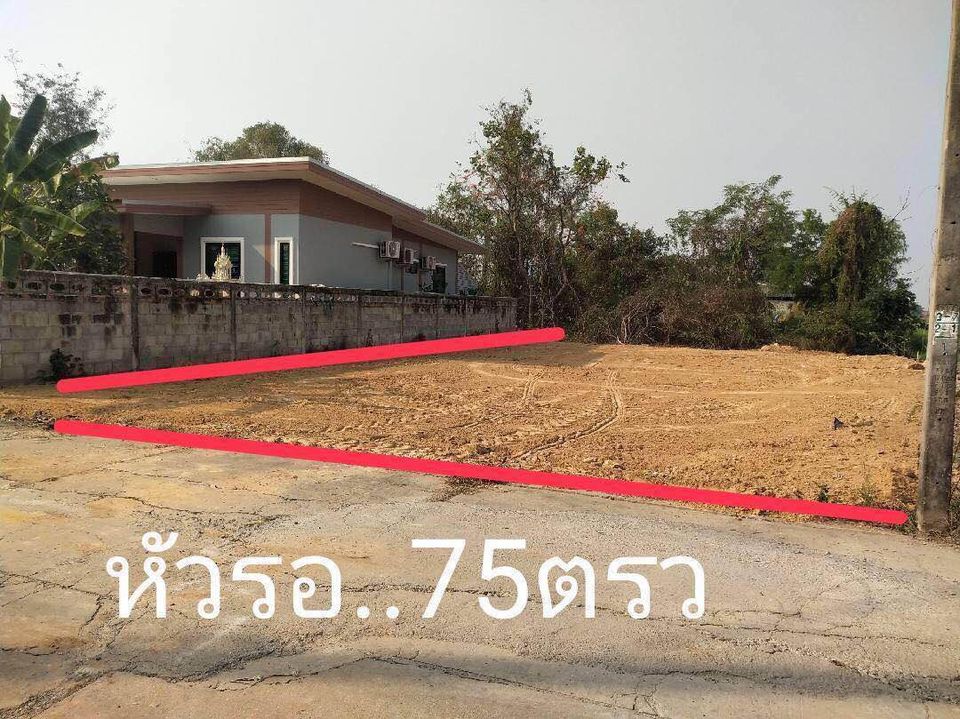 ที่ดินถมแล้วเหมาะสำหรับปลูกบ้าน พิษณุโลก 75 ตรว.
