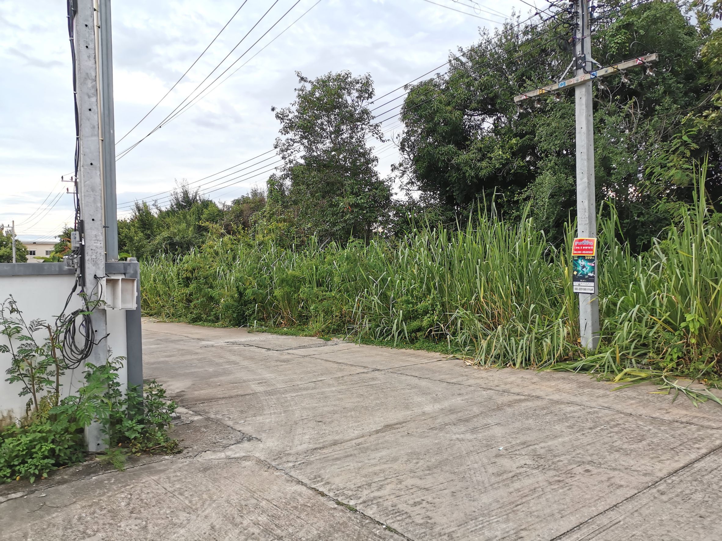 ขายที่ดินด่วน พื้นที่ 1 งาน 5.0 ตรว. ใกล้ม.แม่โจ้  
