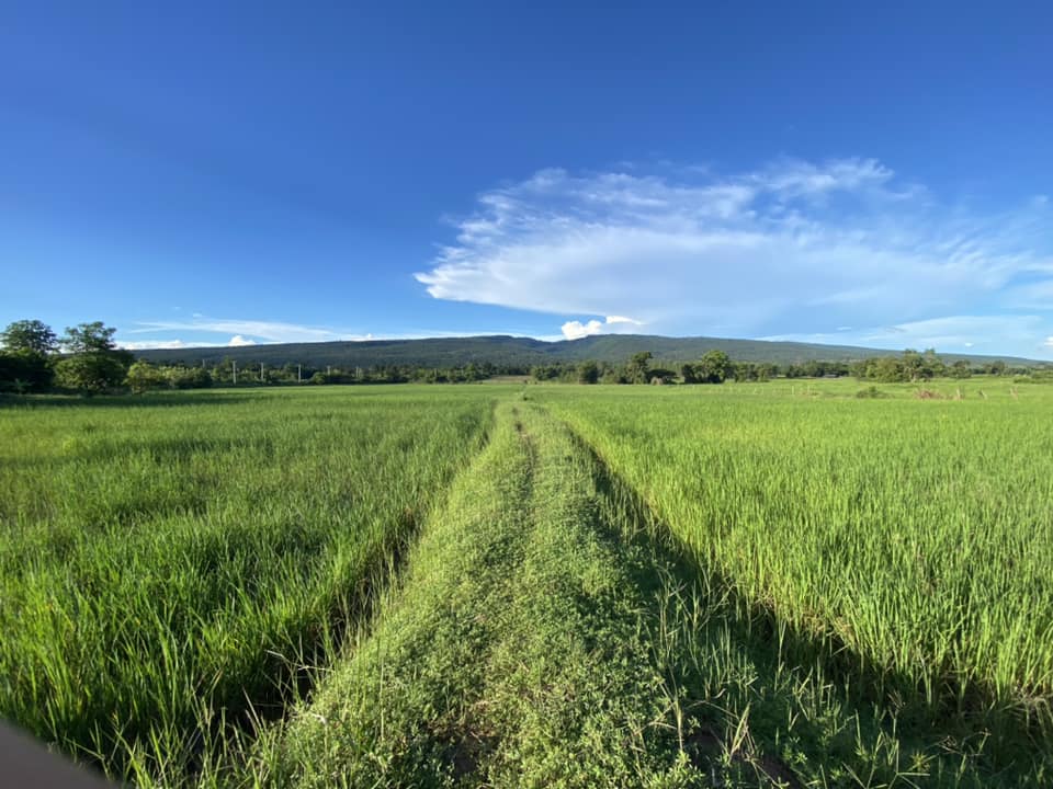 ขายที่ดินชัยภูมิ เมืองชัยภูมิ 15-3-21.7