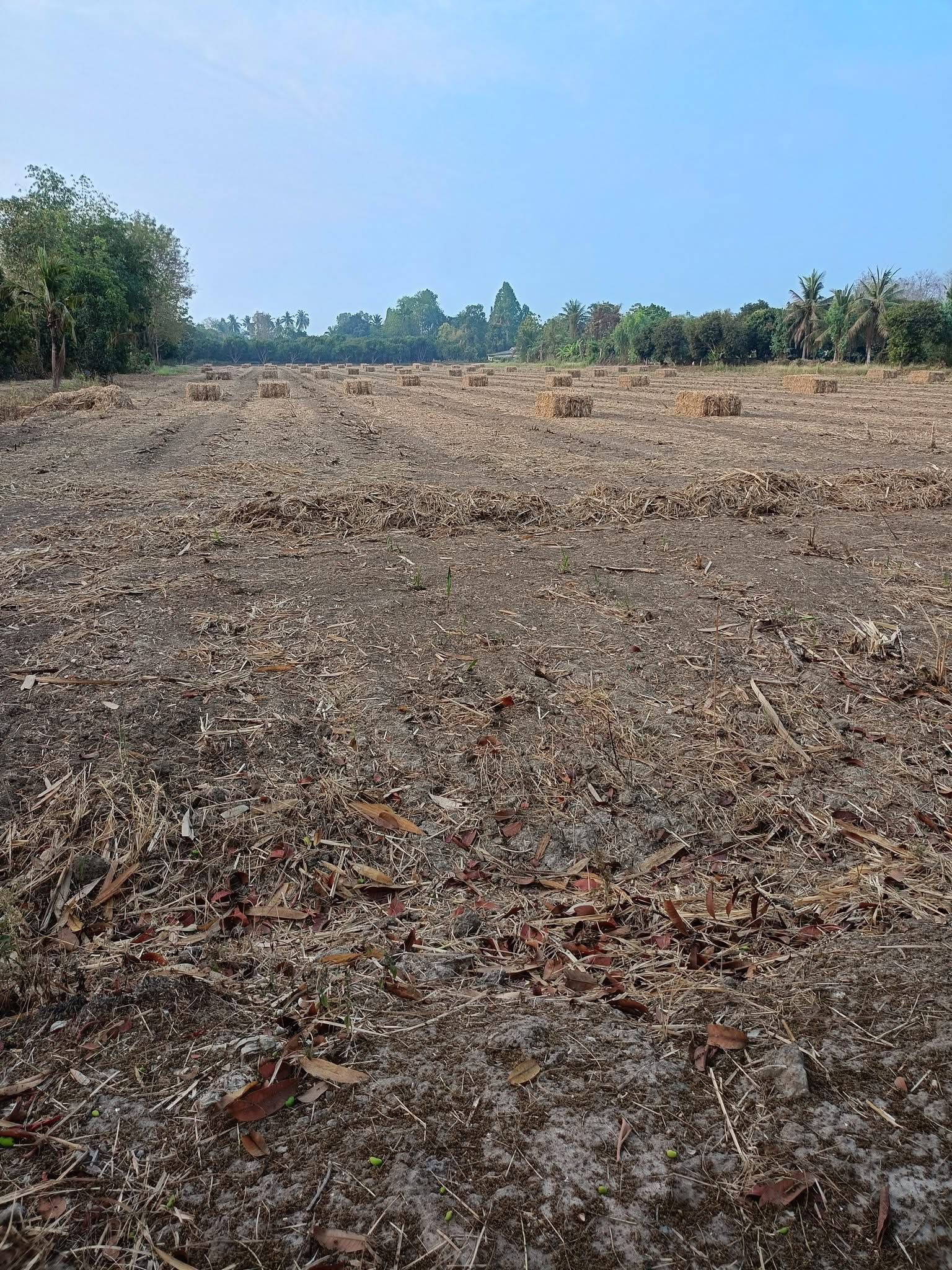 ขายที่ดินกำแพงเพชร อำเภอเมือง ที่ดินสวย สาธารณูปโภคเข้าถึง เดินทางสะดวก เจ้าของขายเอง 