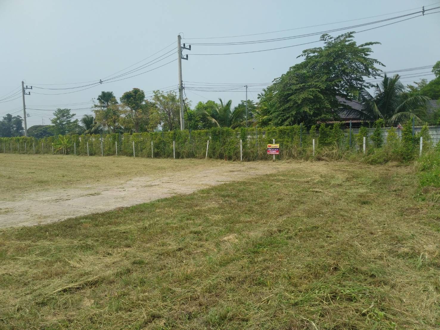 ขายที่ดินหางดง เชียงใหม่ วิวภูเขา ห่างจากถนนใหญ่ 2 นาที