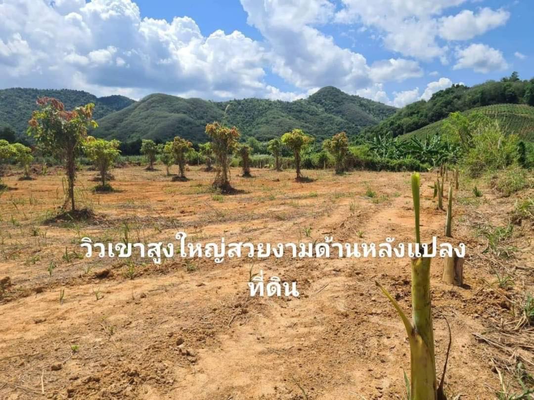 ขายที่ดินวิวภูเขา ประจวบคีรีขันธ์ 1-0-0