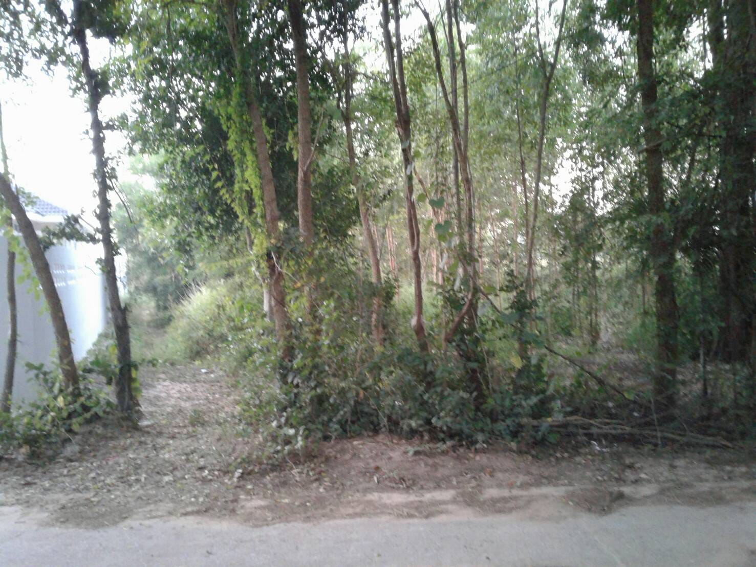 ขายที่ดิน มหาสารคาม 1 ไร่