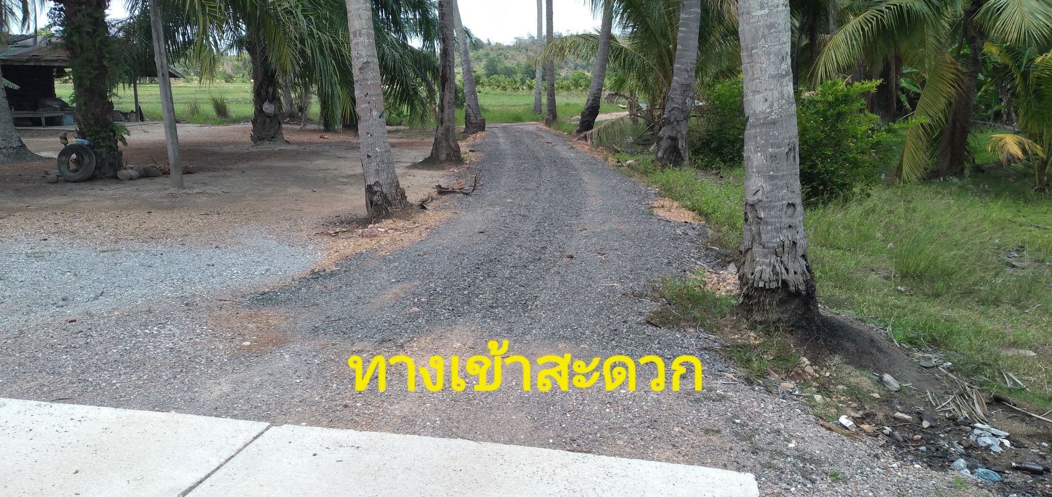 ขายที่ดินประจวบคีรีขันธ์ อ.ทับสะแก 13-0-44 ไร่