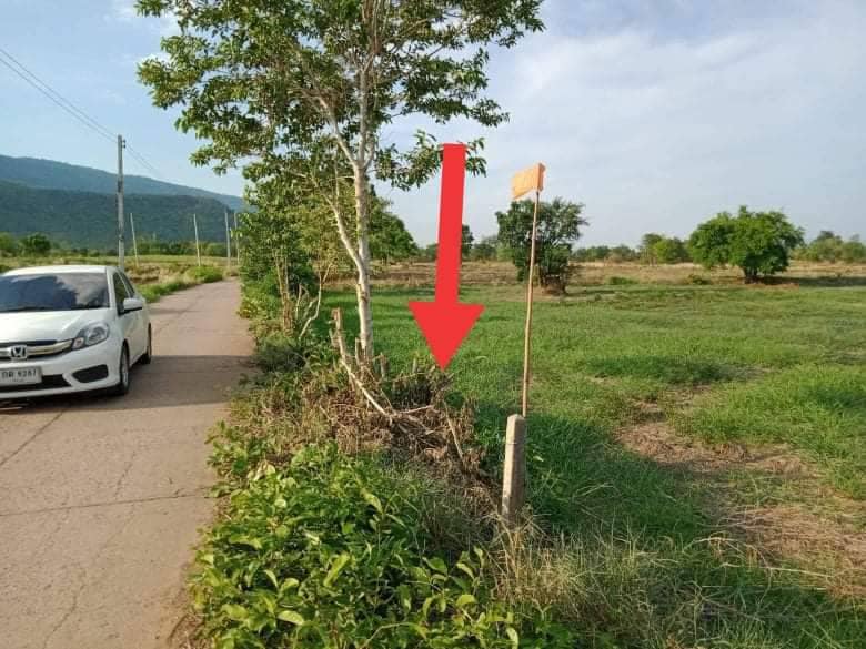 ที่ดินวิวเขา หนองบัวแดง ชัยภูมิ 16-3-99 ไร่