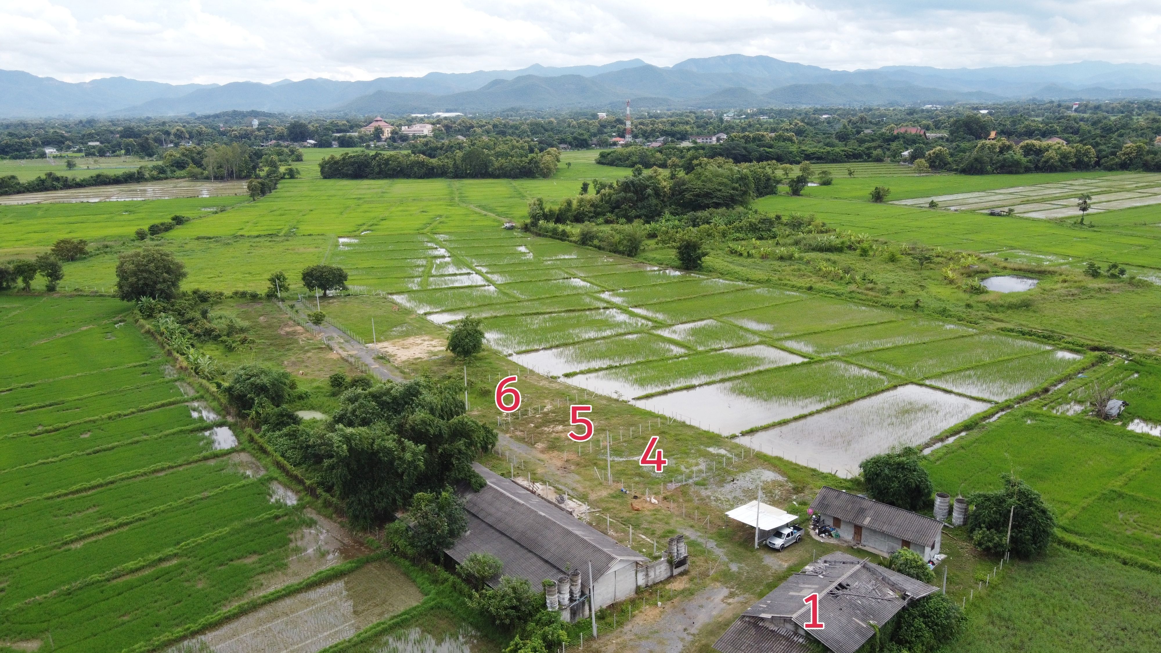 ขายที่ดิน 100 - 112 ตร.ว. จำนวน 4 แปลง (ถมแล้ว วิวดอยและทุ่งนา บ้านสันโค้ง)