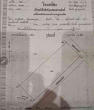 ขายที่ดิน สุราษฎร์ธานี 0-2-90.5 ไร่