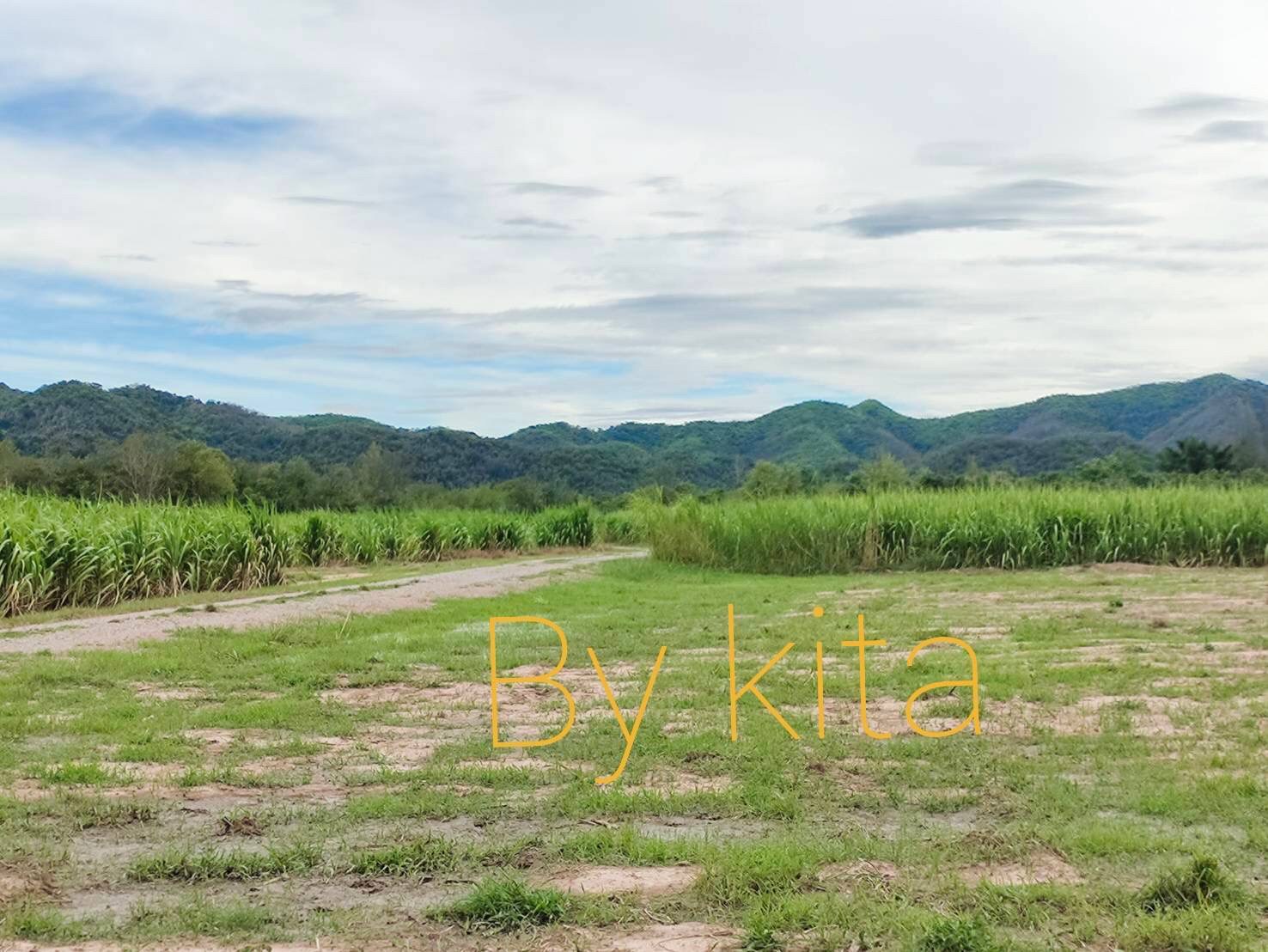 ที่ดินเปล่า เพชรบุรี 29-2-93