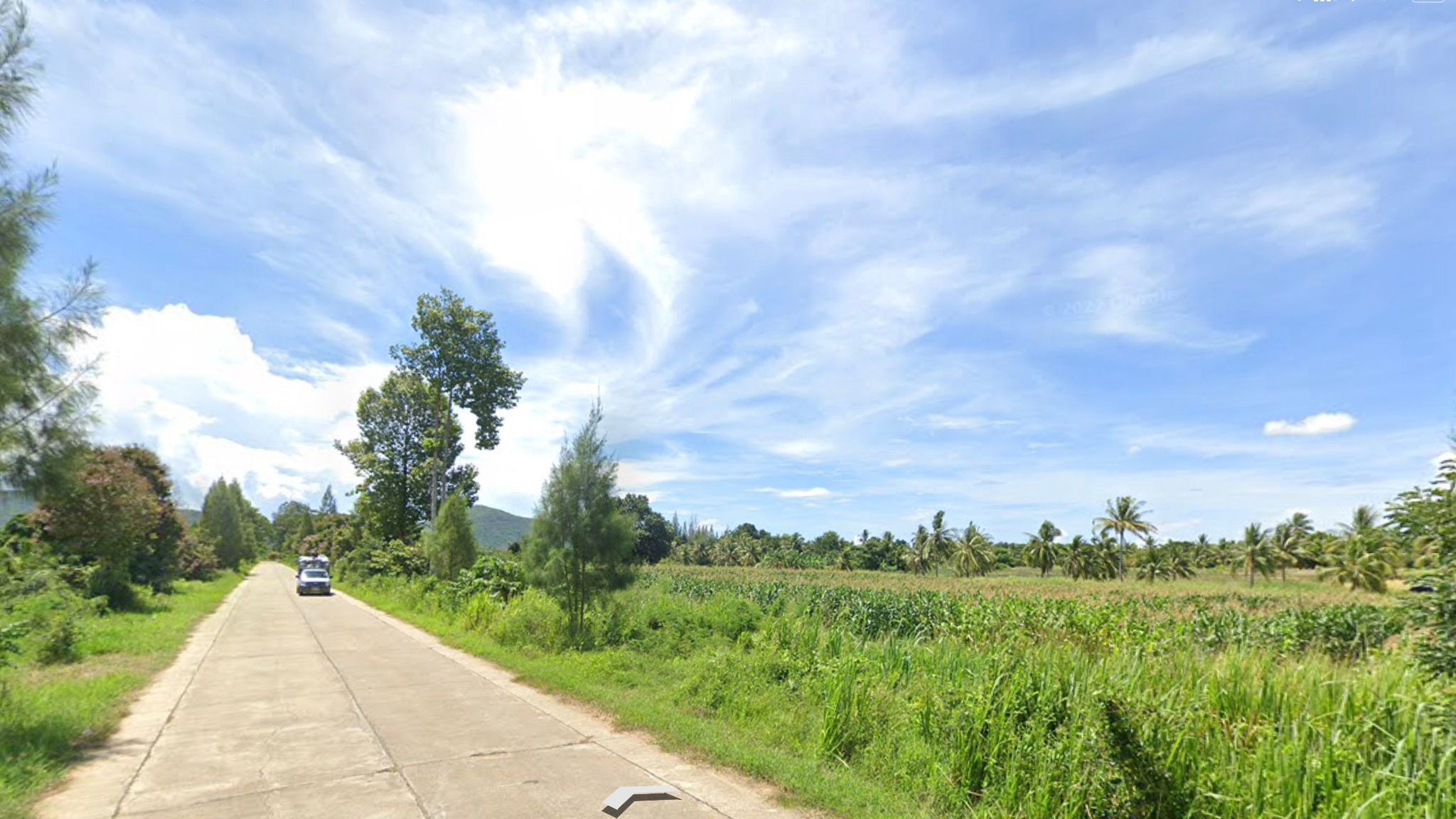 หาเจ้าของใหม่ ให้ ที่ดินแปลงสวย หน้ากว้างทรงสี่เหลี่ยมผืนผ้า รูปทรงสมมาตร ราคาใกล้เคียงราคาประเมิน ใน ประจวบคีรีขันธ์ 