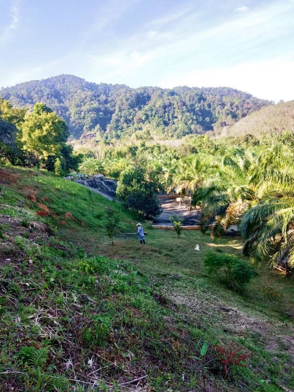 ขายที่ดินพร้อมบ้าน 5 หลังสไตล์วินเทจ