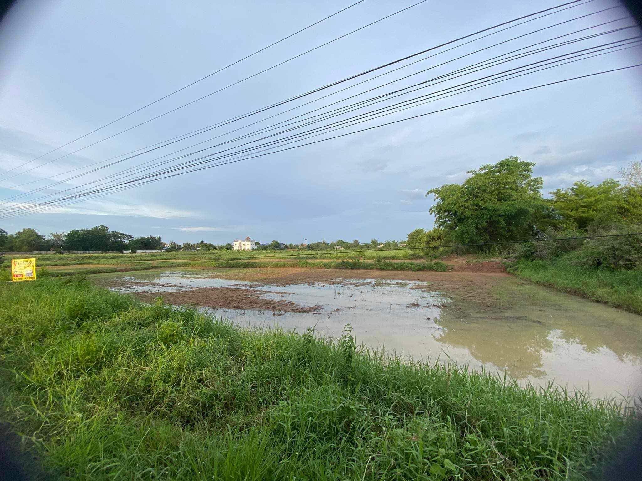 ขายที่ดิน ศรีบุญเรือง หนองบัวลำภู
