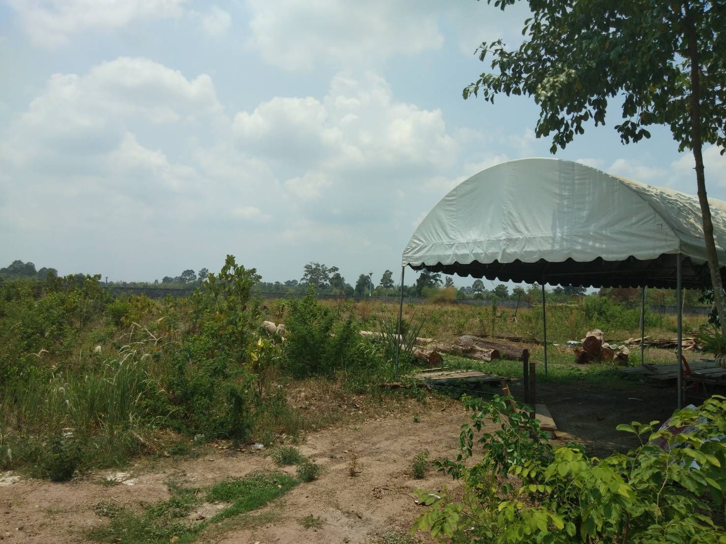 ขายที่ดิน อ.เมืองปราจีนบุรี ติดสำนักสงฆ์ปฏิบัติธรรมประชาร่วมใจ ปราจีนบุรี