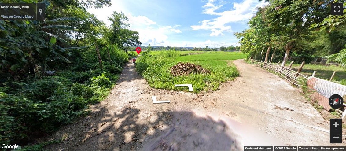 ขายที่ดินในหมู่บ้าน น่าน 0-3-50 ไร่