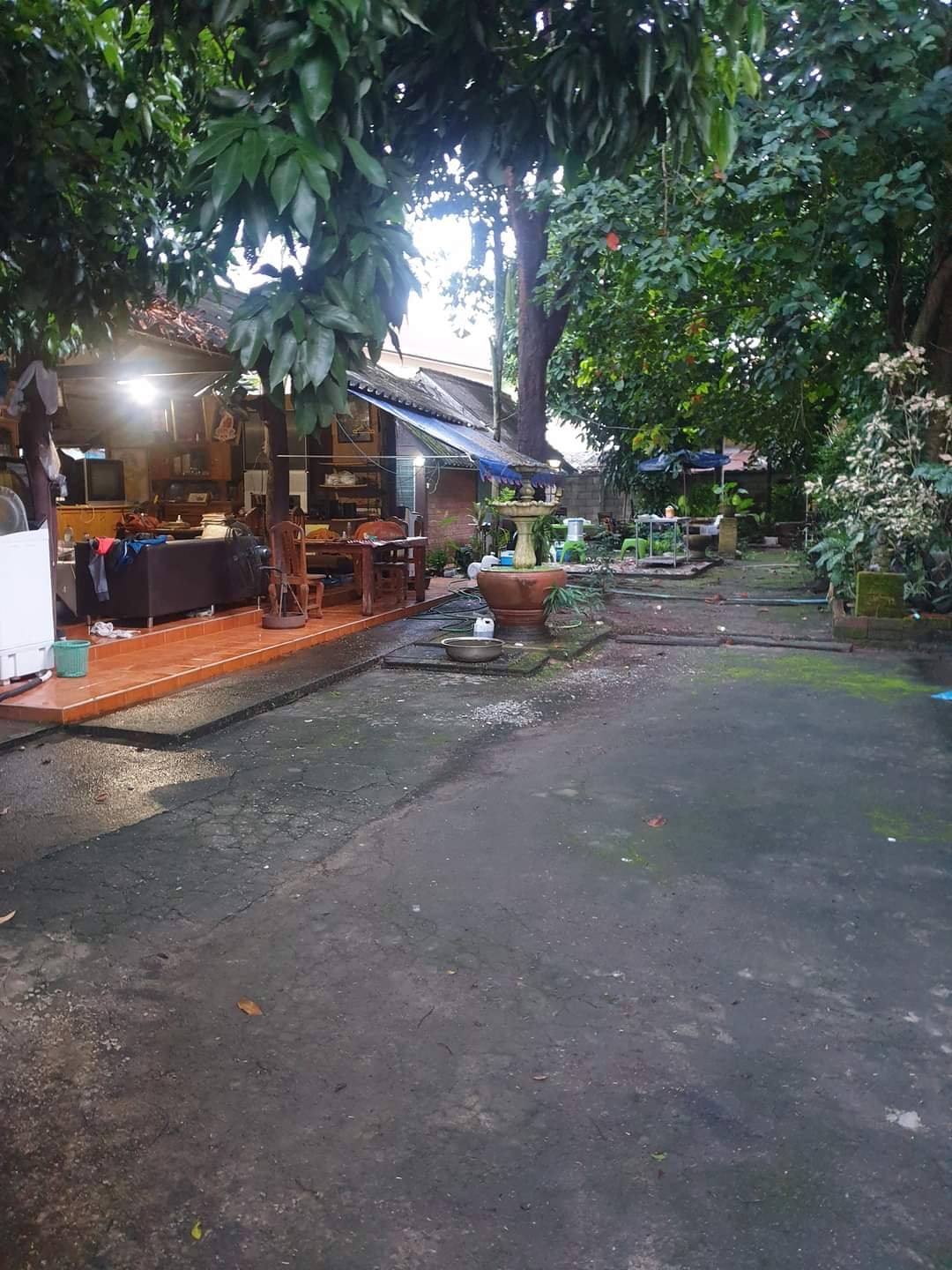 บ้านพร้อมที่ดิน 1ไ ร่ 43ตรว  เมือง เชียงราย