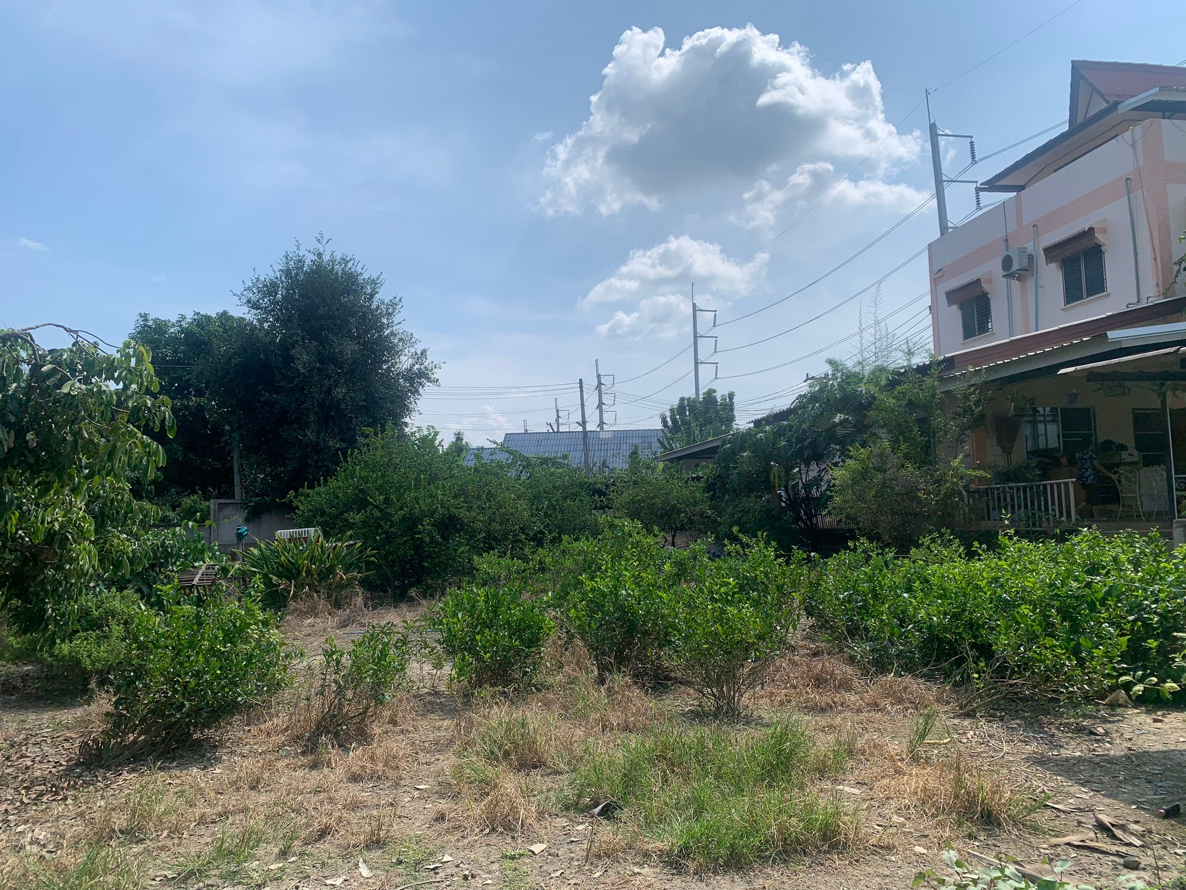 ที่ดินพร้อมบ้านราคาถูก ทำเลสวย ใกล้ชุมชน เดินทางสะดวก แหล่งอำนวยความสบายรอบด้าน