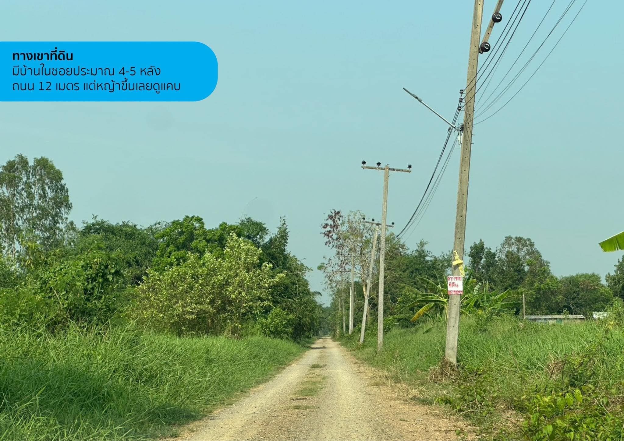 ขายที่ดินปทุมธานี คลองหลวง ที่ดินเปล่า ไร่ละ 1.6 ล้านบาท คลองห้าตะวันตก 27/2 ปทุมธานี (2ไร่)