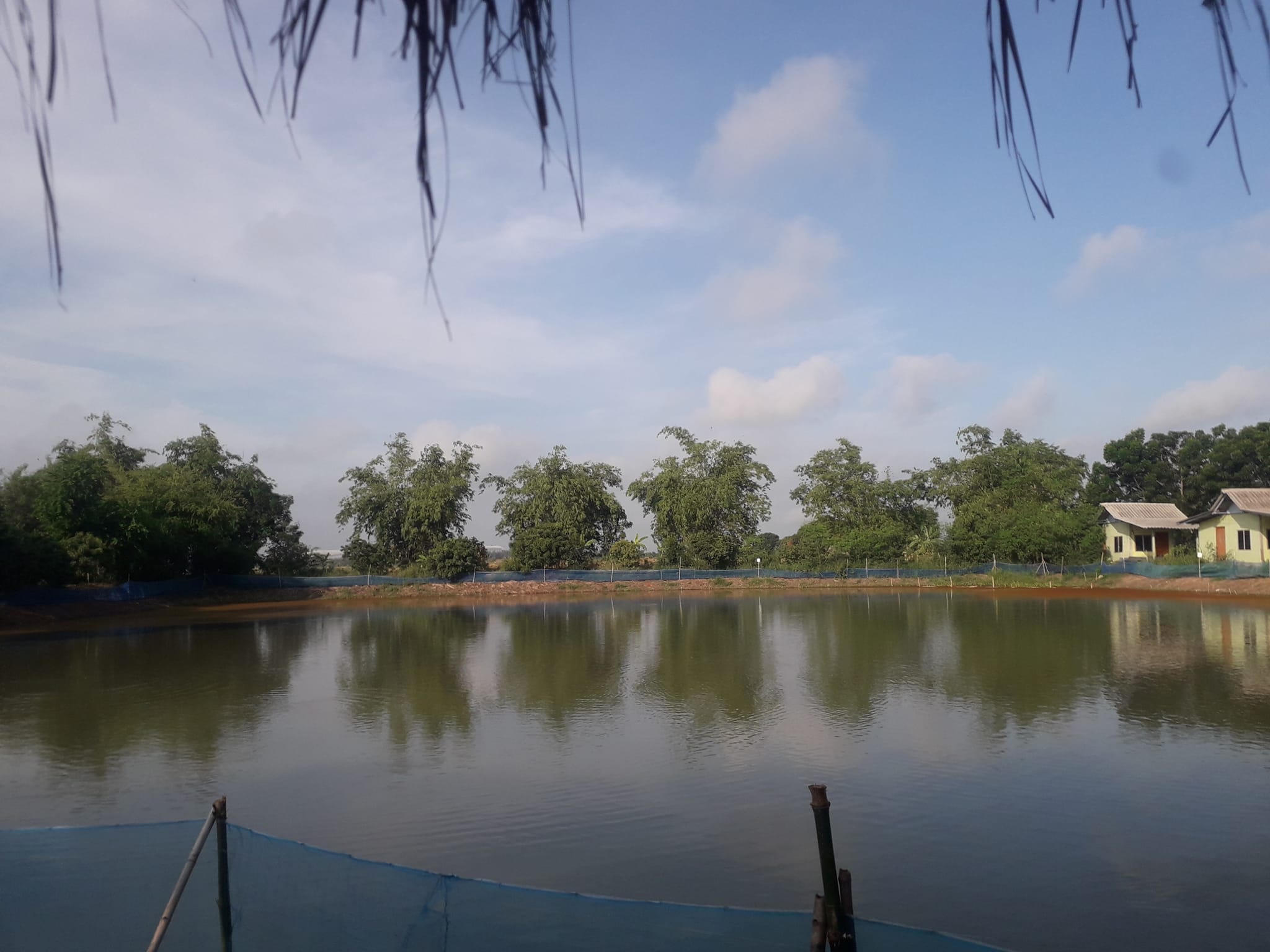 ขายที่ดินชัยนาท มโนรมย์ 4-3-97.7