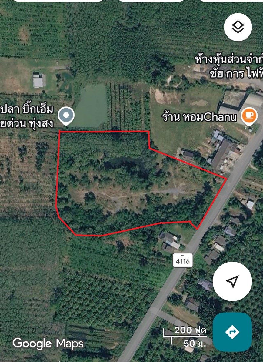 ขายที่ดินนครศรีธรรมราช ทุ่งสง ต.เขาโร ที่แปลงใหญ่ 14-1-46 ไร่.