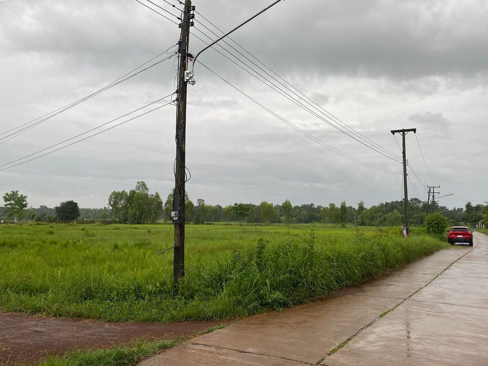 ที่ดินจังหวัดหนองคาย อ.โพนพิสัย หนองคาย 3-1-13 ไร่