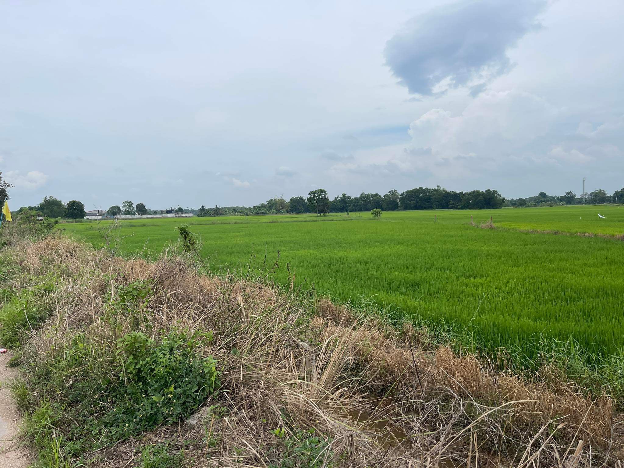ที่ดิน