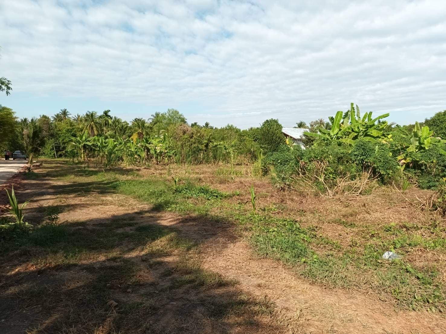 ที่ดินเปล่า ติดคลองทองหลาง อ.บางคนที จ.สมุทรสงคราม 1-2-68 ไร่