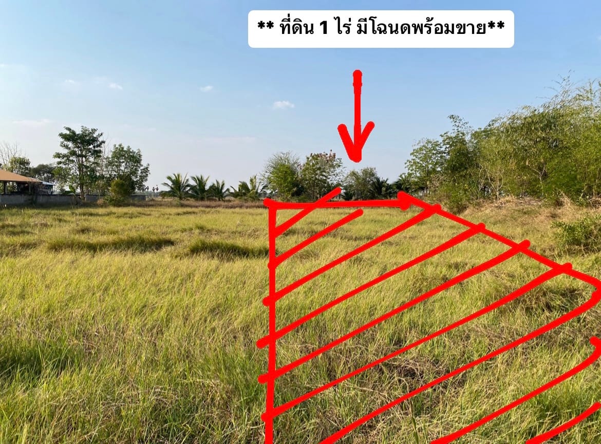 ** ขายด่วน ** ที่ดินสวย โคราช อ.โนนสูง 1 ไร่