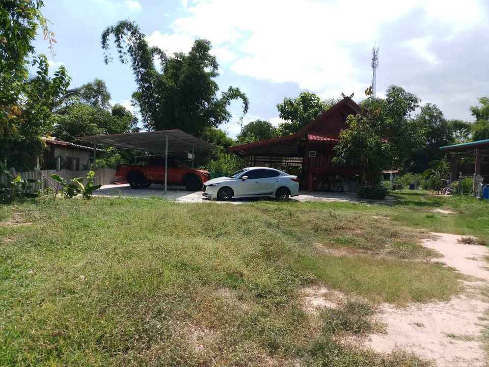 บ้านพร้อมที่ดิน บ้านด่าน บุรีรัมย์ 0-2-19